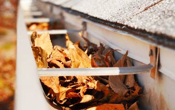Wildmoor gutter cleaning companies