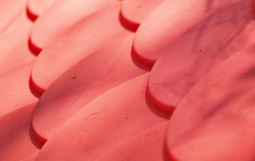 Wildmoor plastic roof costs